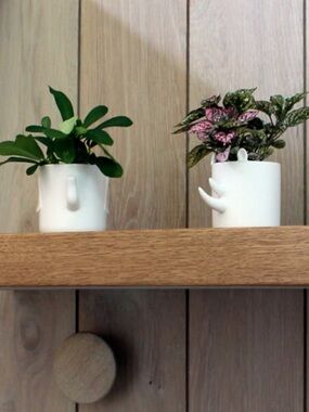 White Ceramic Planter Set Elephant Rhino Succulent Pots Minimalist
